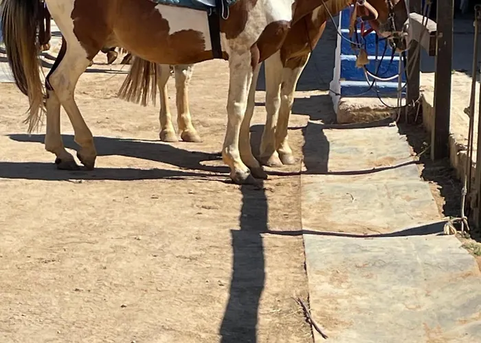 Luxury 2 Bedroom On Quinta Da Saudade Villa Pêra