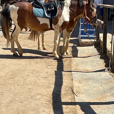 Luxury 2 Bedroom On Quinta Da Saudade 빌라 페라구도